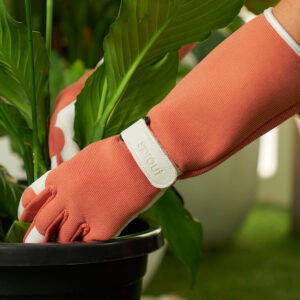 Annabel Trends Sprout Long Glove