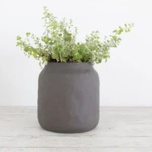 Flax Kitchen Pot 19cm